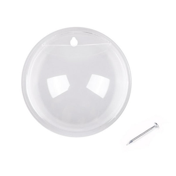 Clear Glass Wall Mounted Flower Vase