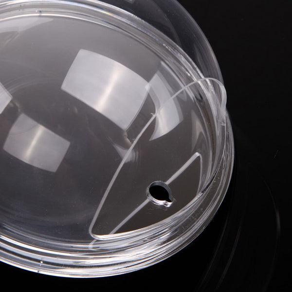 Clear Glass Wall Mounted Flower Vase