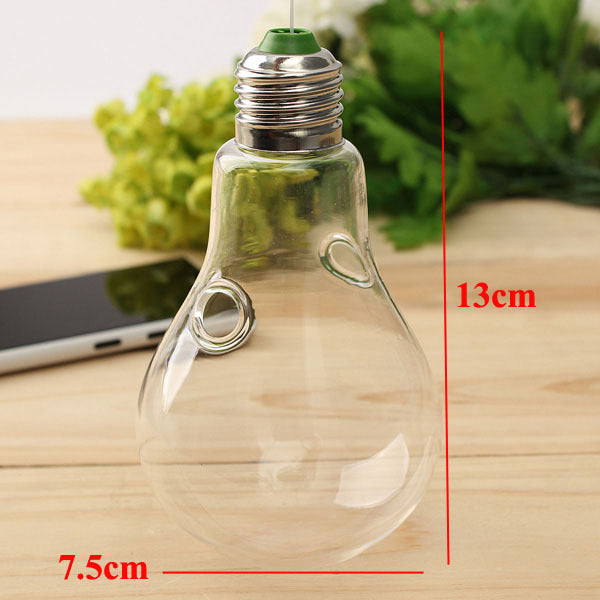 Bulb Shape Hanging Flower Vase