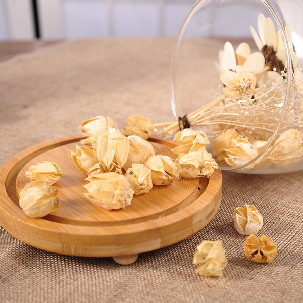 Sealed Dried Flower Terrarium