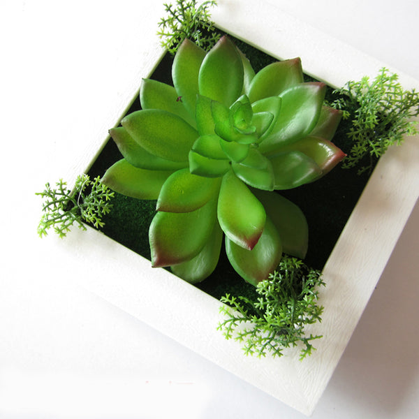 3D Three Dimensional Plant Wall Frame