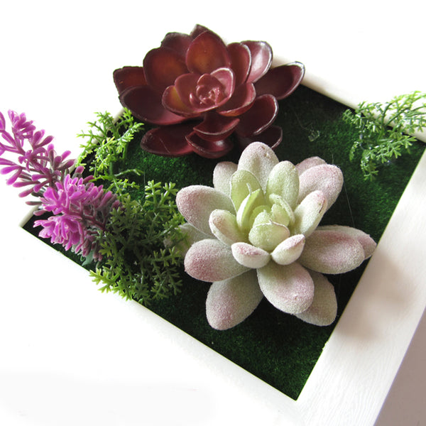 3D Three Dimensional Plant Wall Frame