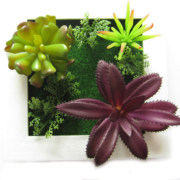 3D Three Dimensional Plant Wall Frame