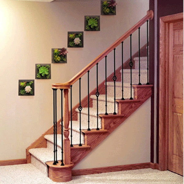 3D Three Dimensional Plant Wall Frame