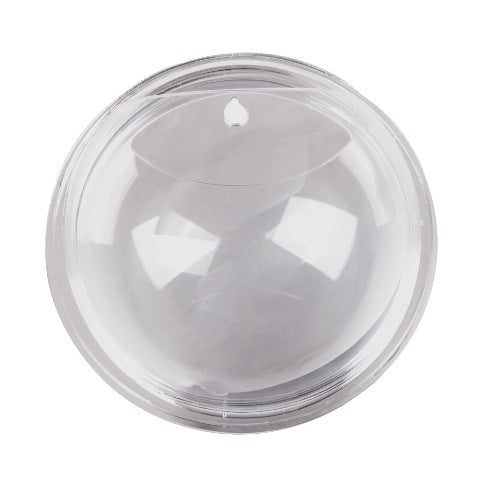 Clear Glass Wall Mounted Flower Vase