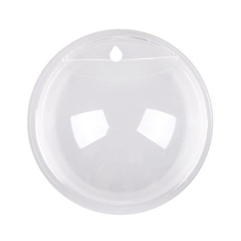 Clear Glass Wall Mounted Flower Vase