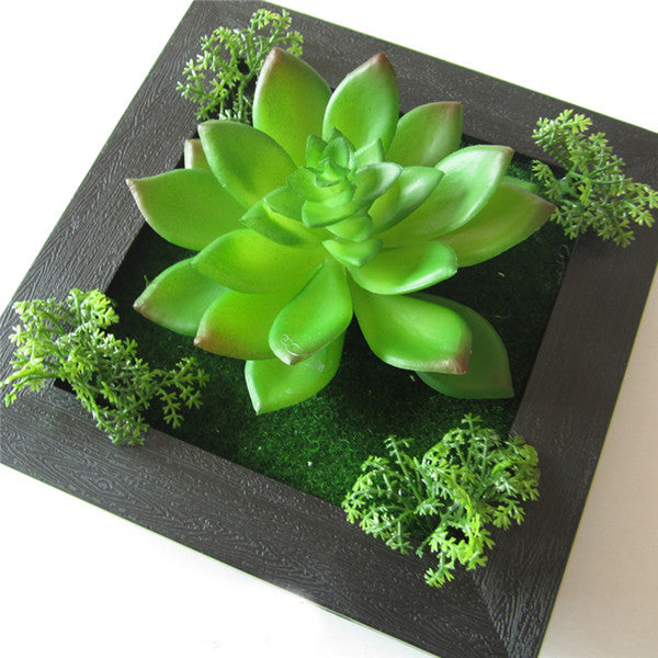 3D Three Dimensional Plant Wall Frame