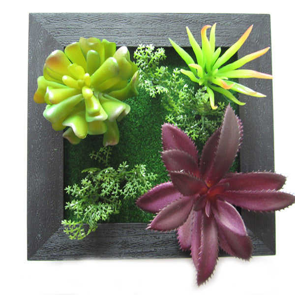 3D Three Dimensional Plant Wall Frame